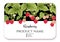 Raspberry. Ripe berries on branch. Template for product label