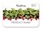 Raspberry. Ripe berries on branch. Template for product label