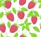 Raspberry Seamless Patterns. Endless ornament of leaves and pink forest berry . Background