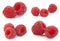Raspberry, set of full-size images