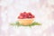 Raspberry tartlet with rosemary decoration on white background w