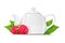 Raspberry tea. Fresh organic herbal drink. Vector illustration.