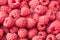 raspberry texture. raspberries background. fruit background. healthy background. flat lay. top view