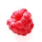 Raspberry on white