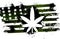 Rastafarian American flag green