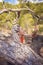 Rastafarian girl on a walk in a rocky forest