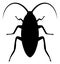 Raster Cockroach Flat Icon Symbol