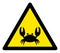 Raster Crab Warning Triangle Sign Icon