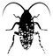 Raster Damaged Cockroach Flat Icon Symbol