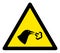 Raster Flat Bird Flu Warning Icon