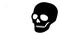 Raster Flat Skull Icon