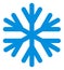 Raster Snow Flake Flat Icon Symbol