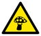 Raster Toxic Mushroom Warning Triangle Sign Icon