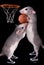 Rat basketball