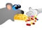 Rat eating poisoned chesse