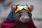 A rat in a hero\\\'s mask. The hero is ready