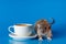 The rat invites you to drink coffee. White cup with drink. Rodent isolated on a blue background for inscription and