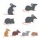 Rat - Mice collection with cute and lovely cartoon Illustration