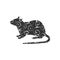 Rat mouse rodent color silhouette animal