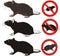 Rat, rodent - warning signs