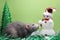 A rat is a symbol of the new year 2020 near a toy Christmas tree and a snowman among tinsel