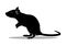 rat trapped in sticky glue traps.illustration of a cartoon mouse,