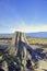 Rathtrevor Beach provincial park during low tide in Vancouver Is