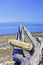 Rathtrevor Beach provincial park during low tide in Vancouver Is