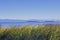 Rathtrevor Beach provincial park during low tide in Vancouver Is