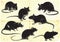 Rats collection, freehand sketching, vector illustration