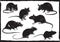 Rats collection, freehand sketching, vector illustration