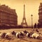 rats in Paris