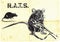 Rats, rat with gun - freehand drawing,