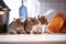 Rats sitting on kitchen counter. Generative AI