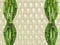 Rattan Bamboo Background