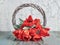 Rattan wreath decorated with orange, red natural tulip flowers. Easter, Springtime home decor. Natural flower