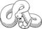 Rattlesnake Vector Illustration