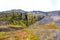 Raudfeldsgja gorge with autumn moss in snaefellsnes
