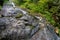 Rausor waterfall, Retezat national park, Romania