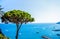 Ravello Amalfi coast aerial panoramic seascape view on green cedar crown and tyrrhenian sea
