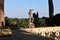Ravello - Statua di Creugante al Terrazzo delle Rose di Villa Cimbrone