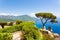 Ravello, terrace over the sea, flowers