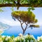 Ravello, terrace over the sea, flowers