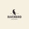 Raven bird with twig tree hipster vintage logo design vector