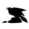 Raven black silhouette vector illustration