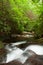 Raven Cliff Trail, Dode Creek.