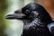 Raven closeup corvus. Generate Ai