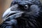 Raven closeup. Generate Ai