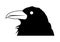 Raven head icon for halloween on white background