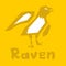 Raven icon, flat style vector clipart. Logo mark template. Thick linear raven outline image. Isolated on yellow background.